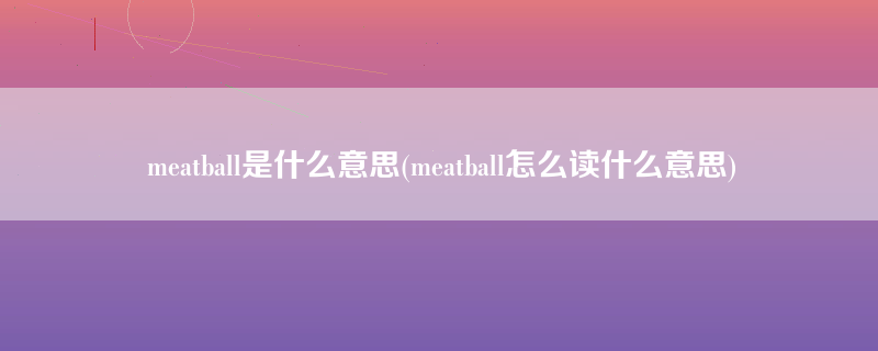 meatball是什么意思(meatball怎么读什么意思)