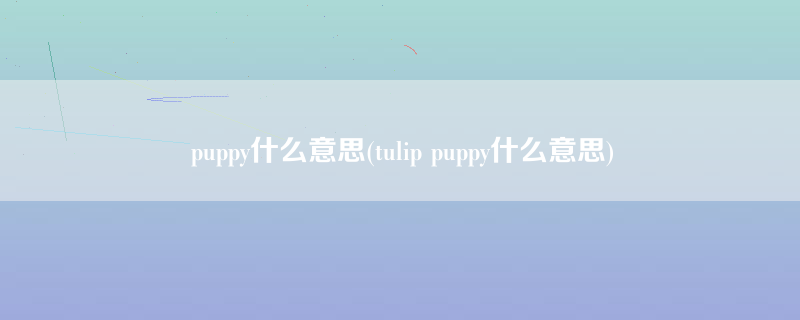 puppy什么意思(tulip puppy什么意思)